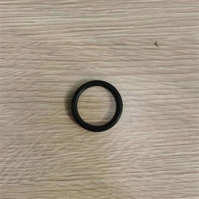 O-Ring   316144P